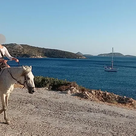 Apartamento Voulas Garden 4family