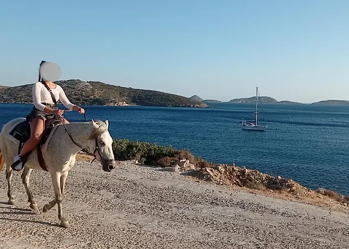 Apartamento Voulas Garden 4family