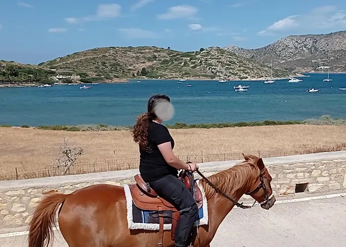 Voulas Garden 4family *