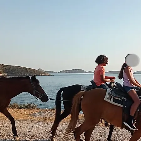 Voulas Garden 4family Апартаменты *