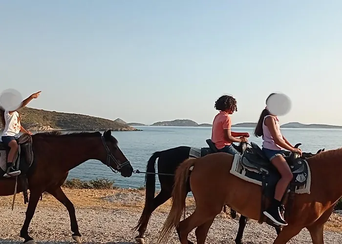 Voulas Garden 4family Apartmán *